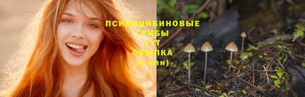 синтетический гашиш Баксан
