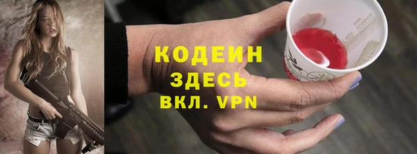 индика Балабаново