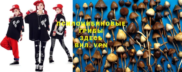 индика Балабаново