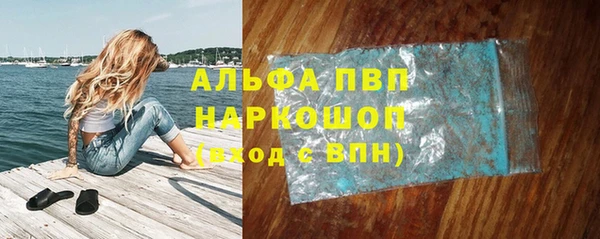 индика Балабаново
