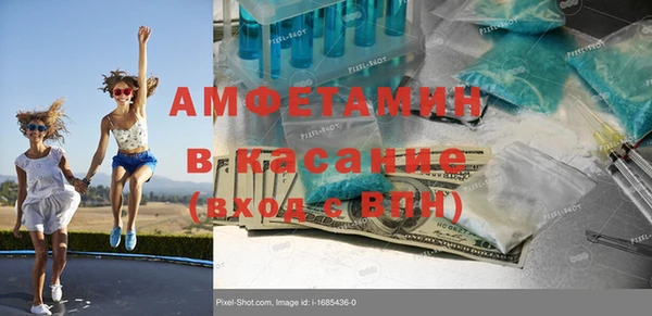 индика Балабаново