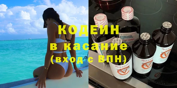 индика Балабаново