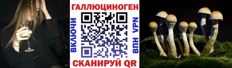 Псилоцибиновые грибы Psilocybe Колпашево