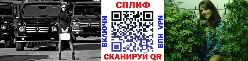 shop какой сайт  купить наркотик  МЕГА вход  Колпашево  Бошки Шишки план 